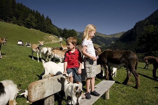 wildpark-aurach_25565